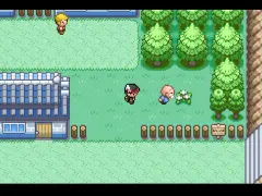 Graphics-UI-Visual-Experience_in_pokemon_gaia-image12