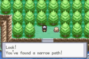 Pokémon-Gaia-Mega-stones-Guide-image6