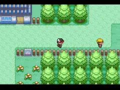 Pokemon-Starters-Availability-in-pokemon-gaia-image10